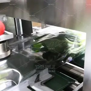 Fruit and Vegetable Machine Pack
