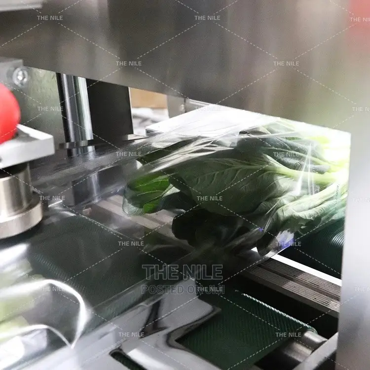 Fruit and Vegetable Machine Pack