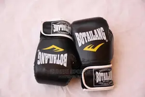 Boxing Gloves / MMA Gloves Black Botailang Brand