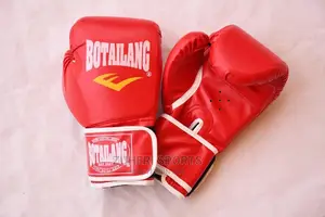 Boxing Gloves Red Heavy Duty