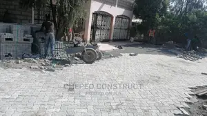 High Quality Ordinary Cabro Pavers