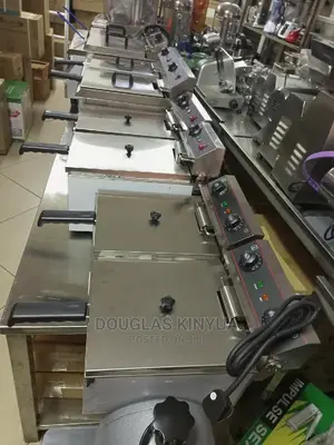 Imported Electric Deep Fryer
