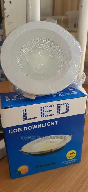 COB Downlighter 10wlts