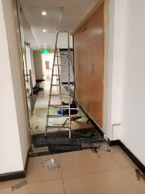Frameless Glass Door