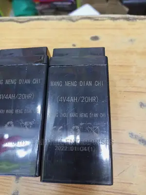 Digital Scale Battery