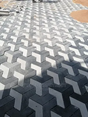 3 D Arrow Cabro Pavers