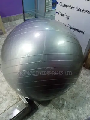 New Gym Balls