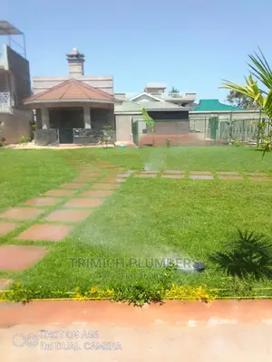 Pop Up Sprinkler Installation Services and Irrigation System