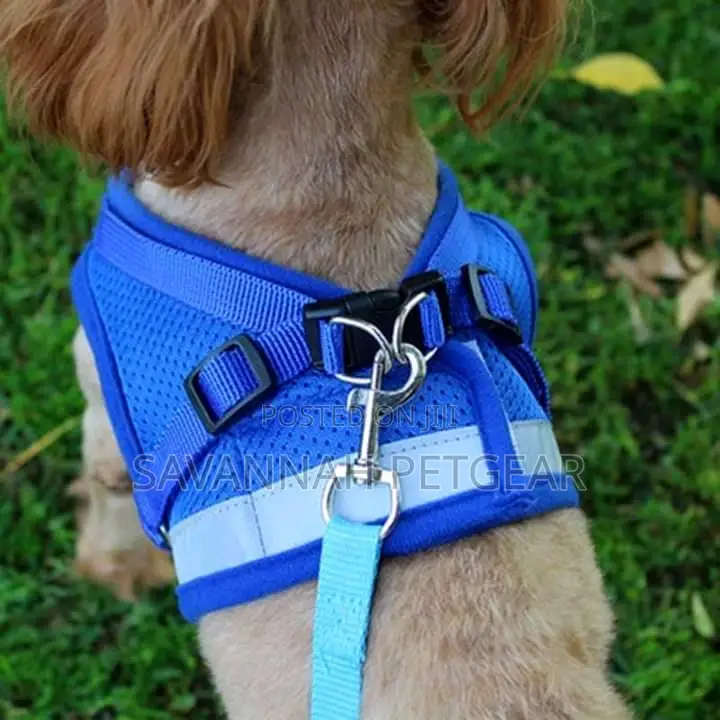 Padded Dog Harness and Leash - Small Size