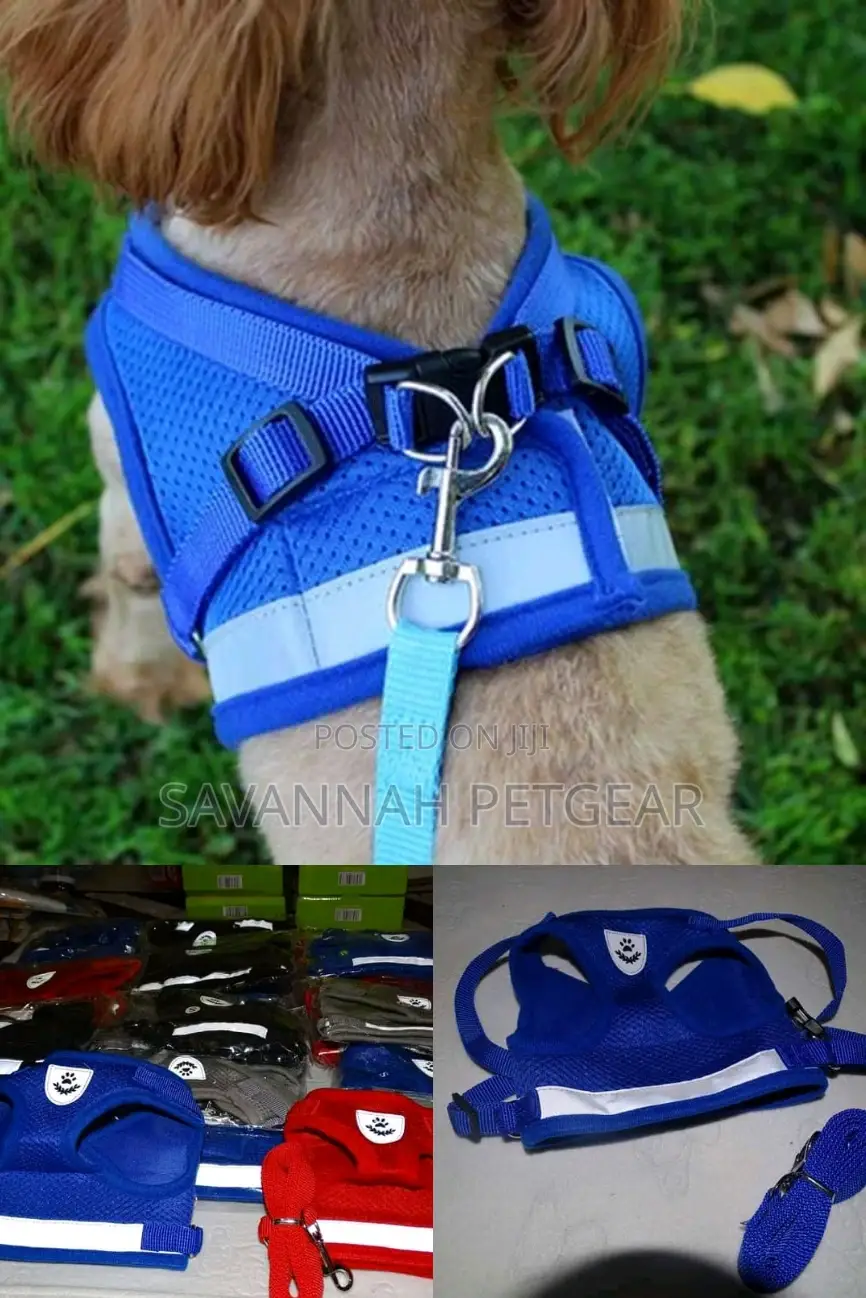 Padded Dog Harness and Leash - Small Size