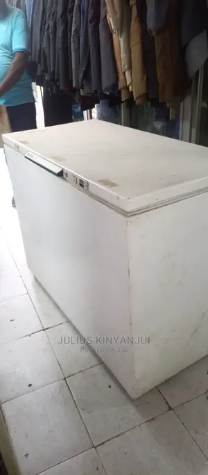 Deep Freezer 450L