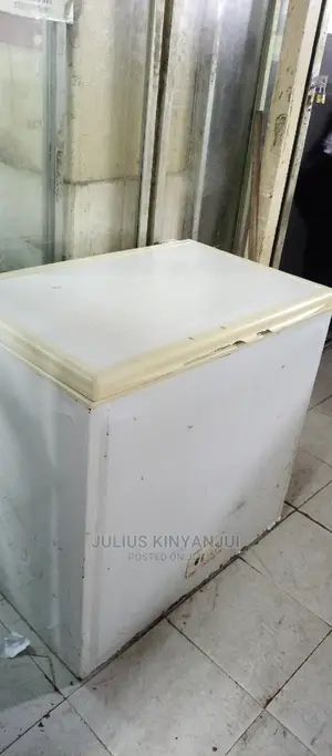Deep Freezer 230L
