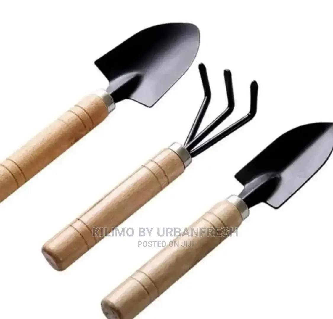 Mini Gardening Kit