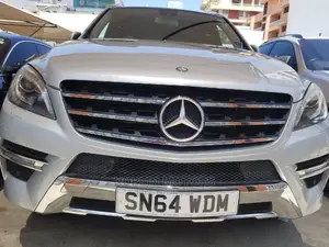 Mercedes-Benz M Class 2015 Silver