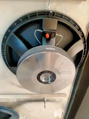 RCF Silver Naked Speaker