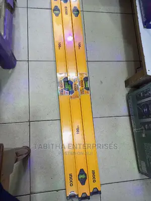 Ingco Spirit Level
