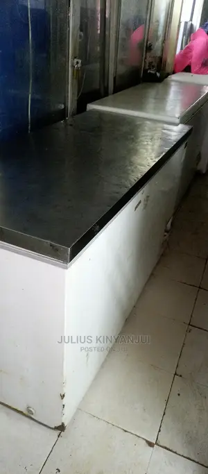 Deep Freezer 550L