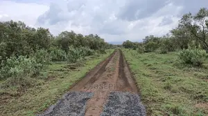 Naivasha 5 and 10acres Within Developed Impala Estate