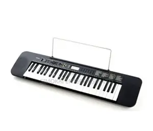 Casio CTK-245 Portable Keyboard, 2.8kg