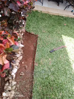 Gardening and Shaping Flowers