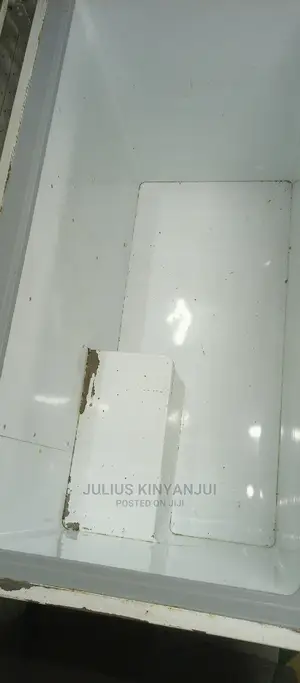 Deep Freezer 450L