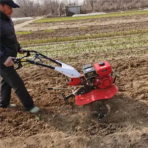 Small Orchard Trencher