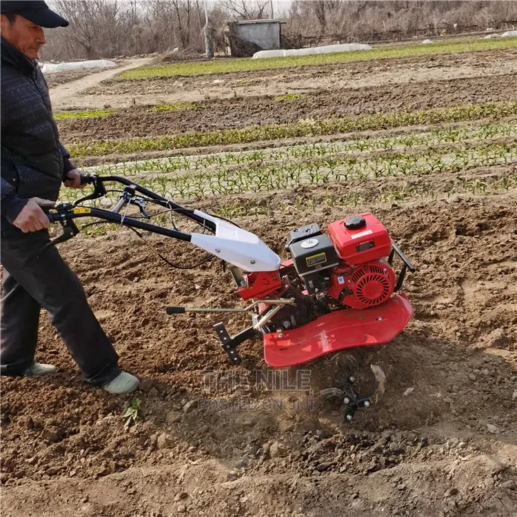 Small Orchard Trencher