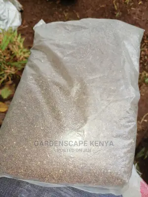 Kikuyu Grass Seeds 500grams Packet