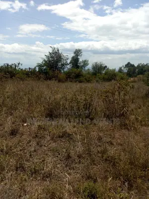 Land on Sale at Naivasha Nyamathi