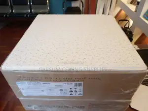 Armstrong Acoustic Ceiling Tile Per Piece