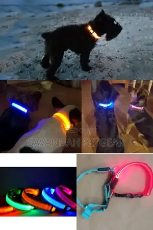 Dog Collar Glow in the Dark Led Dog Collar for Night Safety