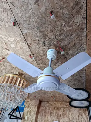 Celling Fan