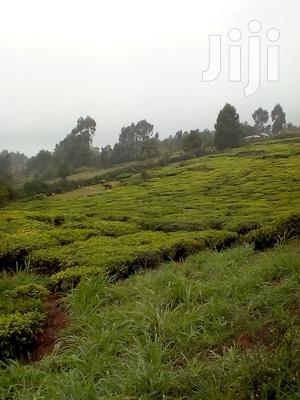 3 Acres Kinyogori, Limuru
