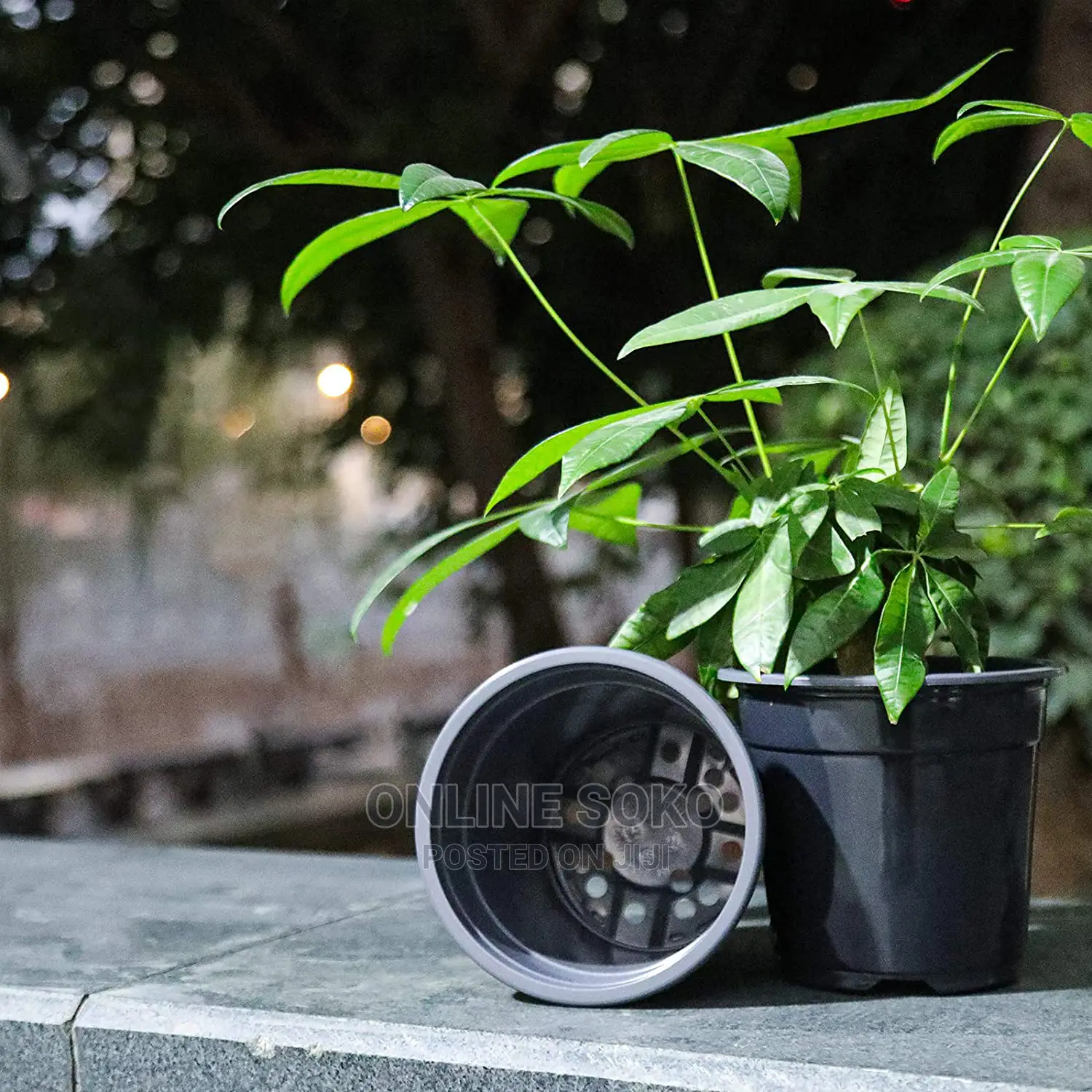 Reusable Disposable Plastic Plant Seedling Flower Pots - 10