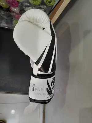 Boxing Gloves/12oz