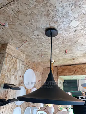 Pendant Light/ Hanging Light