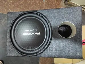1500 Watts Pioneer Champion Series With Cabinet