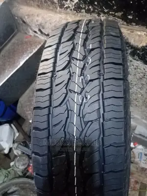 225/65r17 Dunlop Tyre