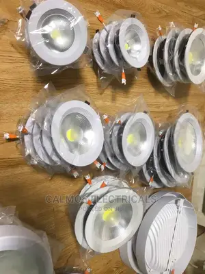 10wts Cob Down Light