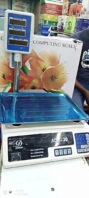 Electric Price Computing Scale