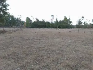 Prime Plots in Nyahururu Oljoroorok