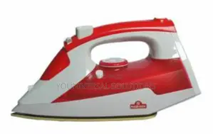 Rashnik Steam Iron Box