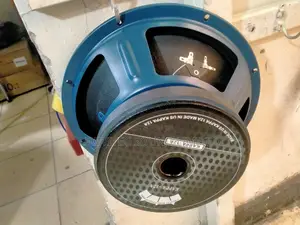 12 Inch Speaker