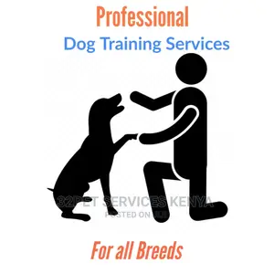 Dog Training