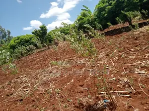 An Acre of Land on Sale at Makuyu.