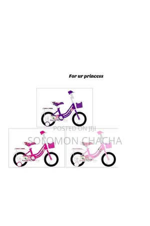 Lady Bird Girls Bicycle Size16