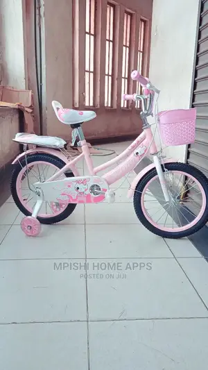 Pink Bicycle Size 16