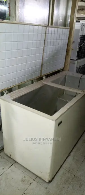 2 Door Freezer 650L