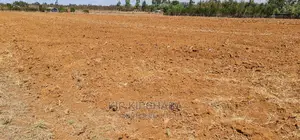 Prime 1 Acre Land Merewet 100 Metres From Highway Eldoret