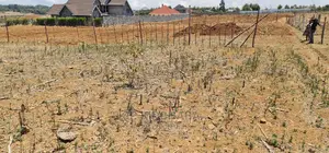Prime 1⁄4 Plot for Sale in Kipkorgot Eldoret